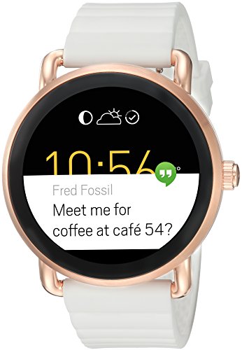 fossil explorer q